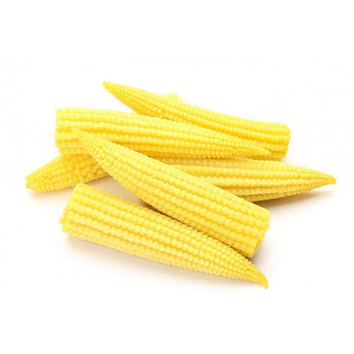 Dolco Gold Mısır Koçanı (Young Baby Corn İn Brine) 410 gr