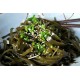 Guri Kombu Kelp Kurutulmuş Yosun 1 kg Guri Kombu Kelp Kurutulmuş Yosun 1 kg