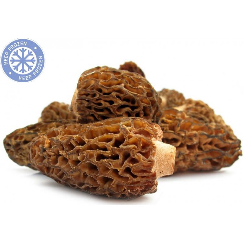 Kuzu Göbeği Mantarı kg