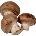 Mushrooms