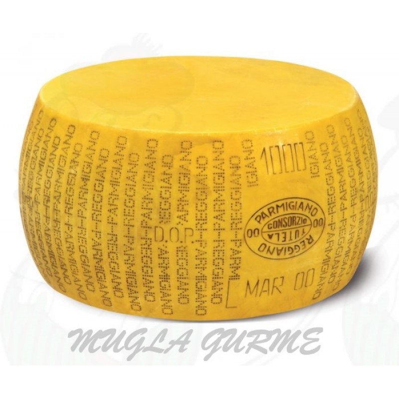 Parmesan Peynir (18 Aylık) kg Parmesan Peynir (18 Aylık) kg