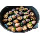 Great Harvest Shiitake Mantarı Kurutulmuş 1 kg Great Harvest Shiitake Mantarı Kurutulmuş 1 kg
