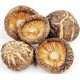 Shiitake Mantarı Kurutulmuş ( Bütün ) 200 gr Shiitake Mantarı Kurutulmuş ( Bütün ) 200 gr