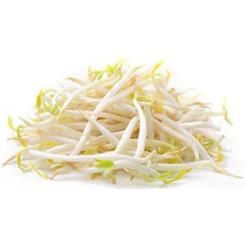 Foodco Soya Fasulyesi Filizi (Bean Sprouts in Water) 425 gr