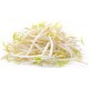 Teptip Soya Filizi (Soybean Sprouts) 412 gr