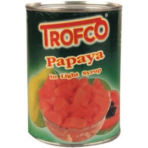 Trofco Papaya In Light Syrup 565 g