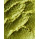 Aroy-D Yeşil Köri Ezmesi (Green Curry Paste) 400 gr Aroy-D Yeşil Köri Ezmesi (Green Curry Paste) 400 gr